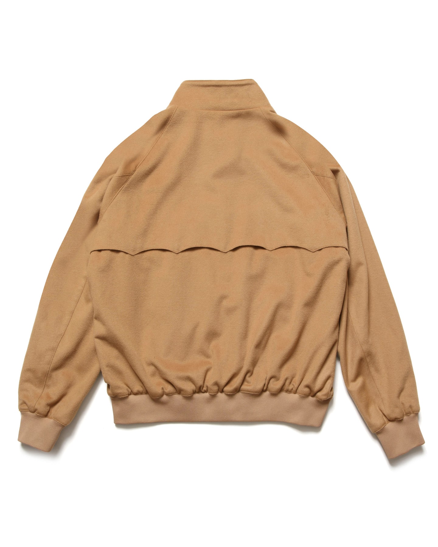 spnt_252104_camel.jpg
